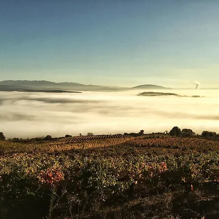 Doñas Del Portazgo Hotel